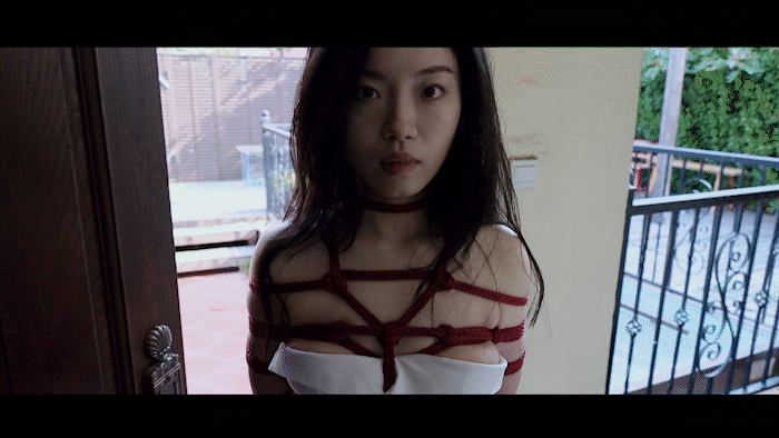 YT2873 复制绳