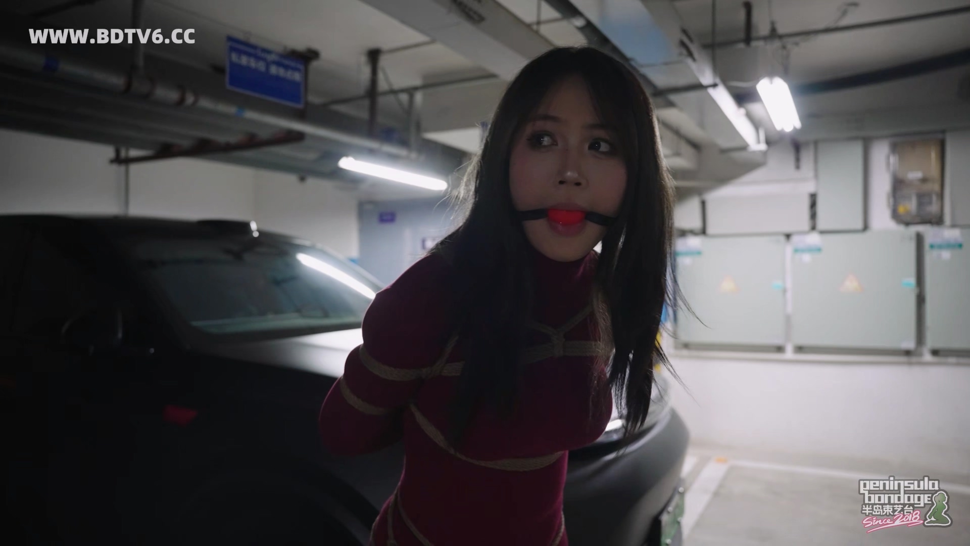 YT2979 如何退烧.mp4_20251015_013542.634.jpg