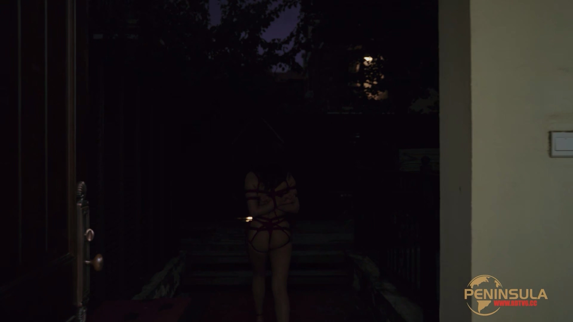 YT2980 跟波雅打赌是错误的.mp4_20251019_043407.847.jpg