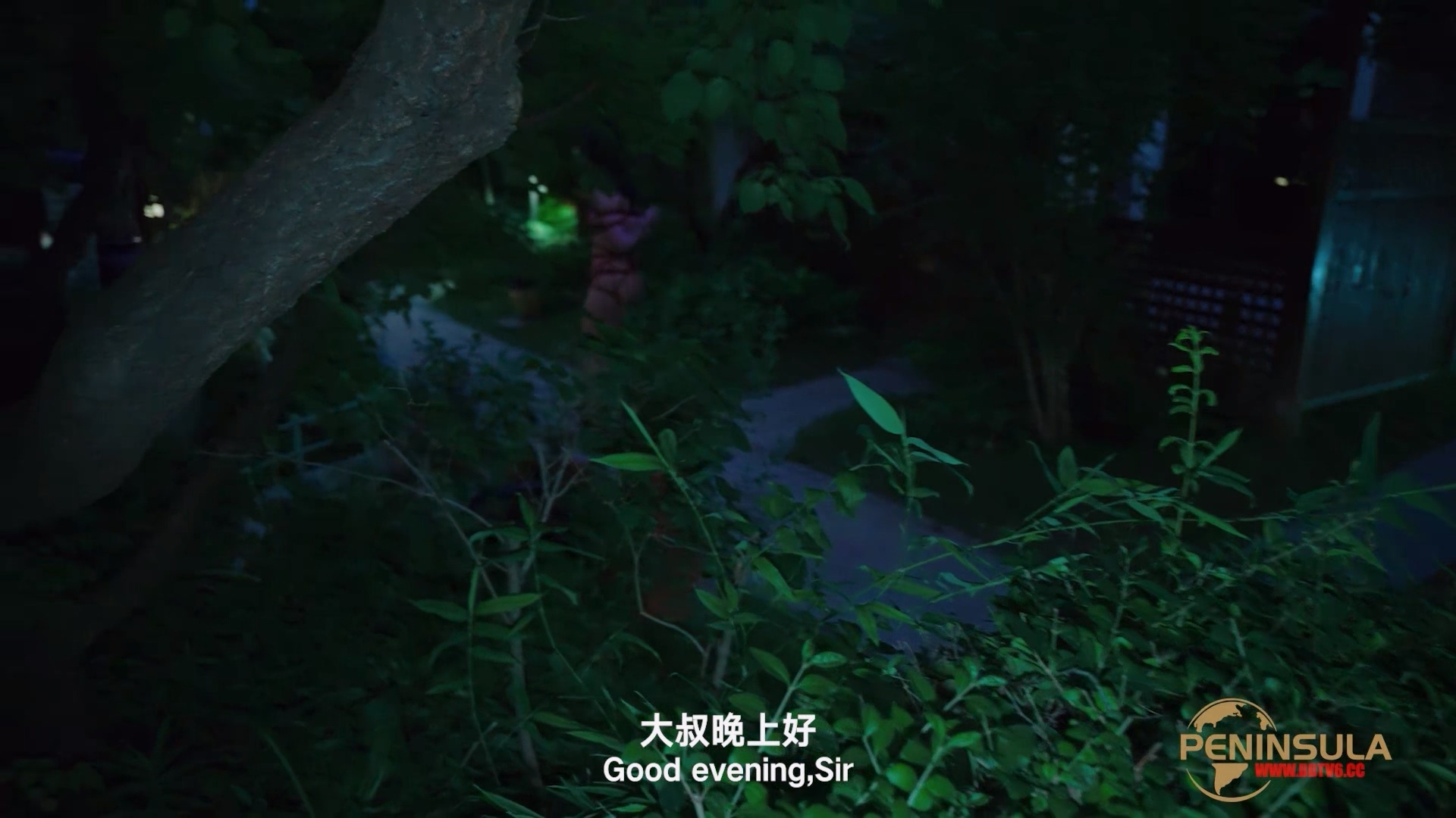 YT2980 跟波雅打赌是错误的.mp4_20251019_043449.099.jpg