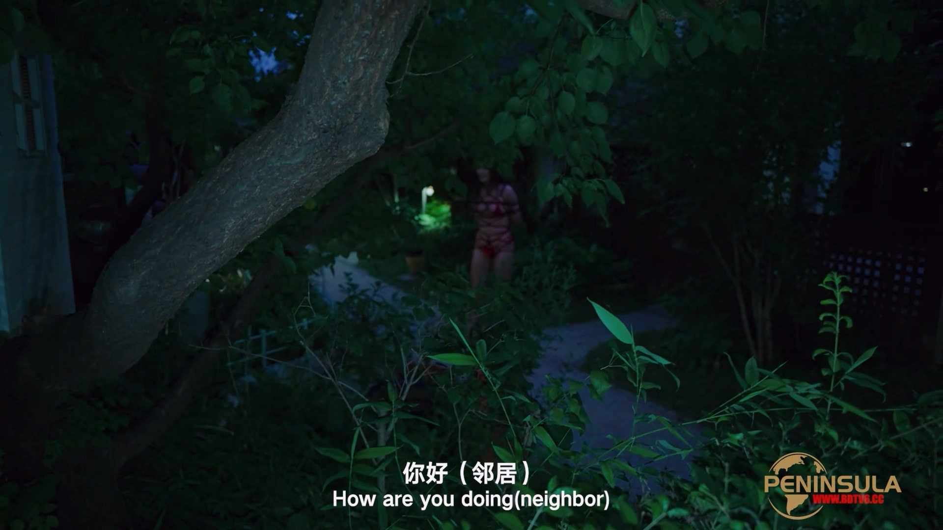 YT2980 跟波雅打赌是错误的.mp4_20251019_043453.088.jpg