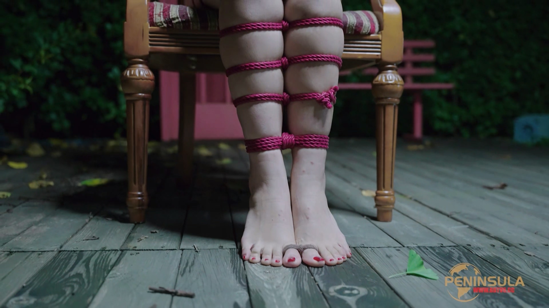 YT2980 跟波雅打赌是错误的.mp4_20251019_043606.530.jpg