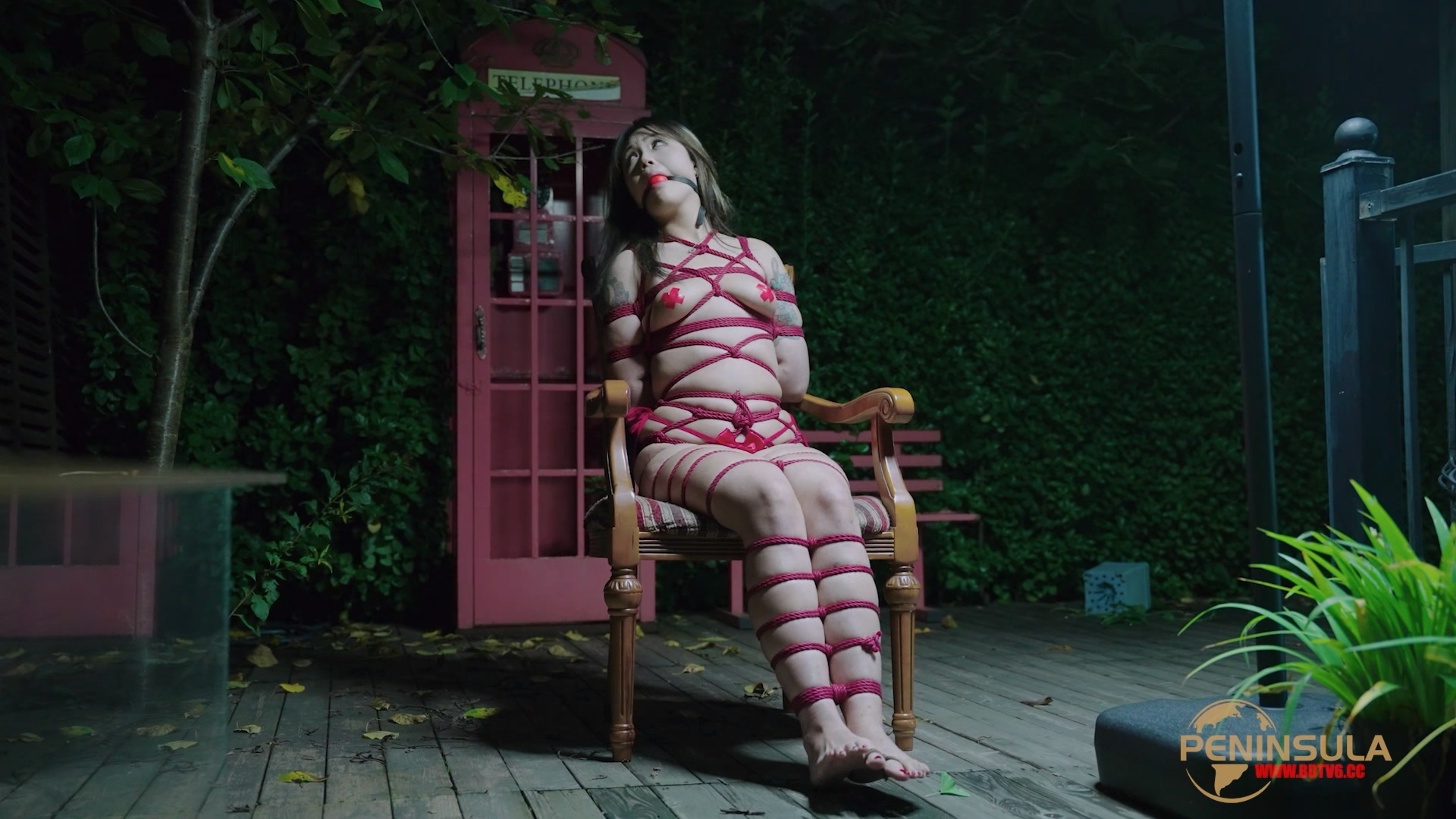 YT2980 跟波雅打赌是错误的.mp4_20251019_043616.520.jpg