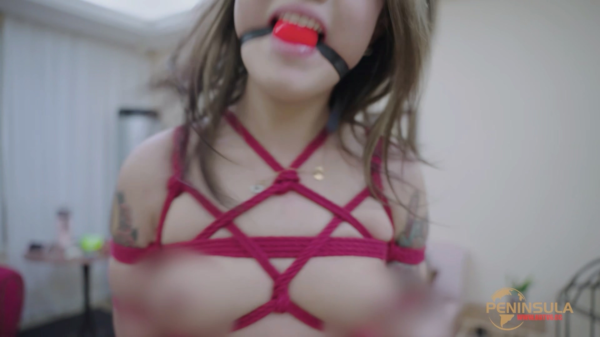 YT2980 跟波雅打赌是错误的.mp4_20251019_043644.180.jpg