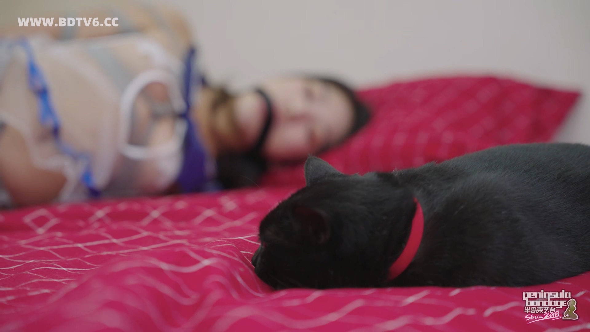 YT2986 ★复制镜.mp4_20251020_034613.069.jpg