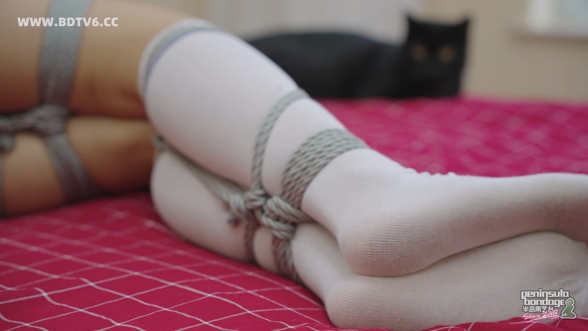 YT2986 ★复制镜.mp4_20251020_034641.359.jpg