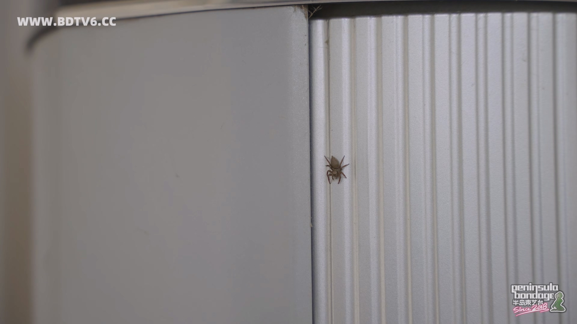 YT2989 ★蜘蛛侠女时候.mp4_20251023_060726.468.jpg