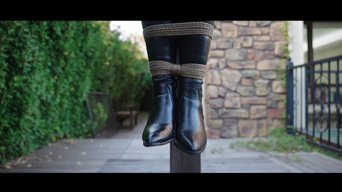 YT3003 波雅受难记