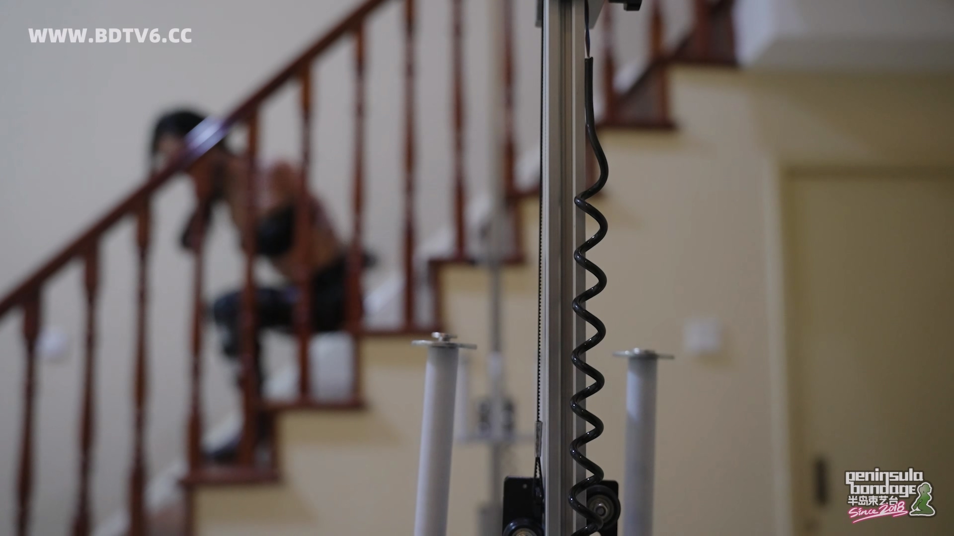 YT2996 来自2225年的问候.mp4_20251031_235940.482.jpg