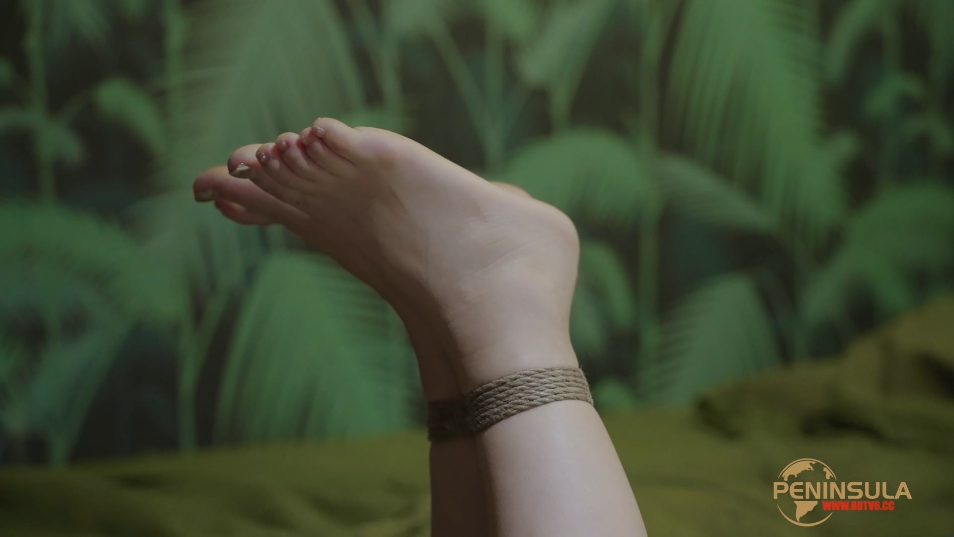 YT3018 开局一头鲸.mp4_20251121_035445.350.jpg