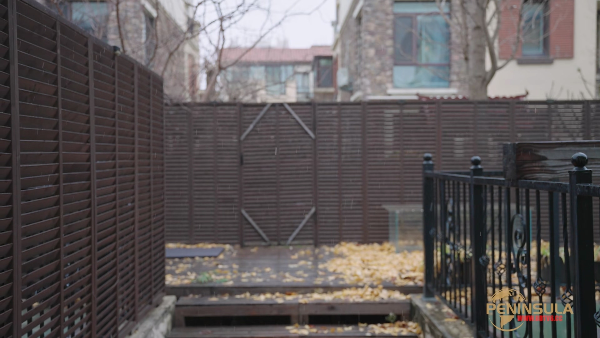 YT3040 迷路至此.mp4_20251214_225705.280.jpg