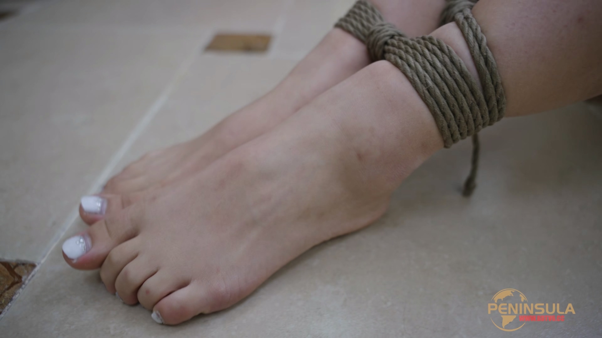 YT3040 迷路至此.mp4_20251214_225837.141.jpg