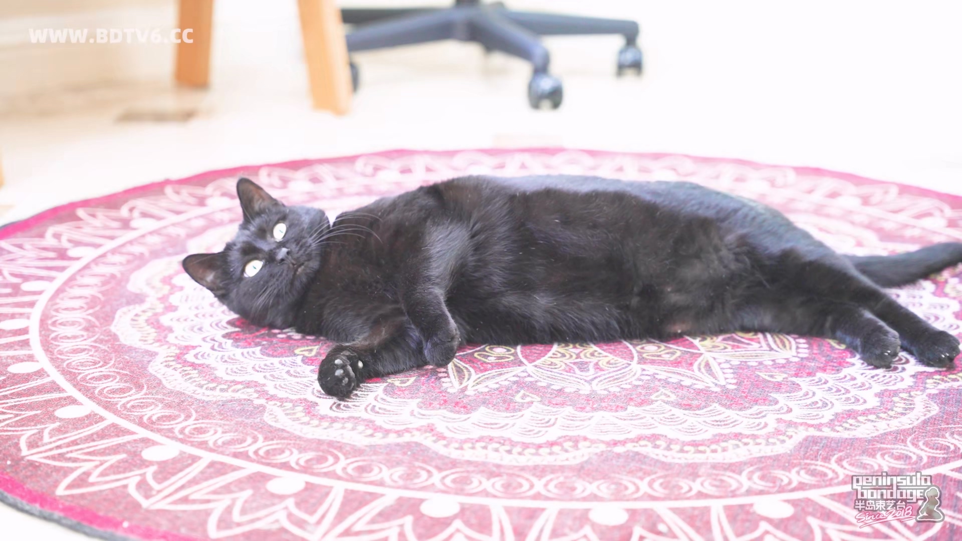 YT3047 ★上帝的新旨.mp4_20251222_051837.128.jpg