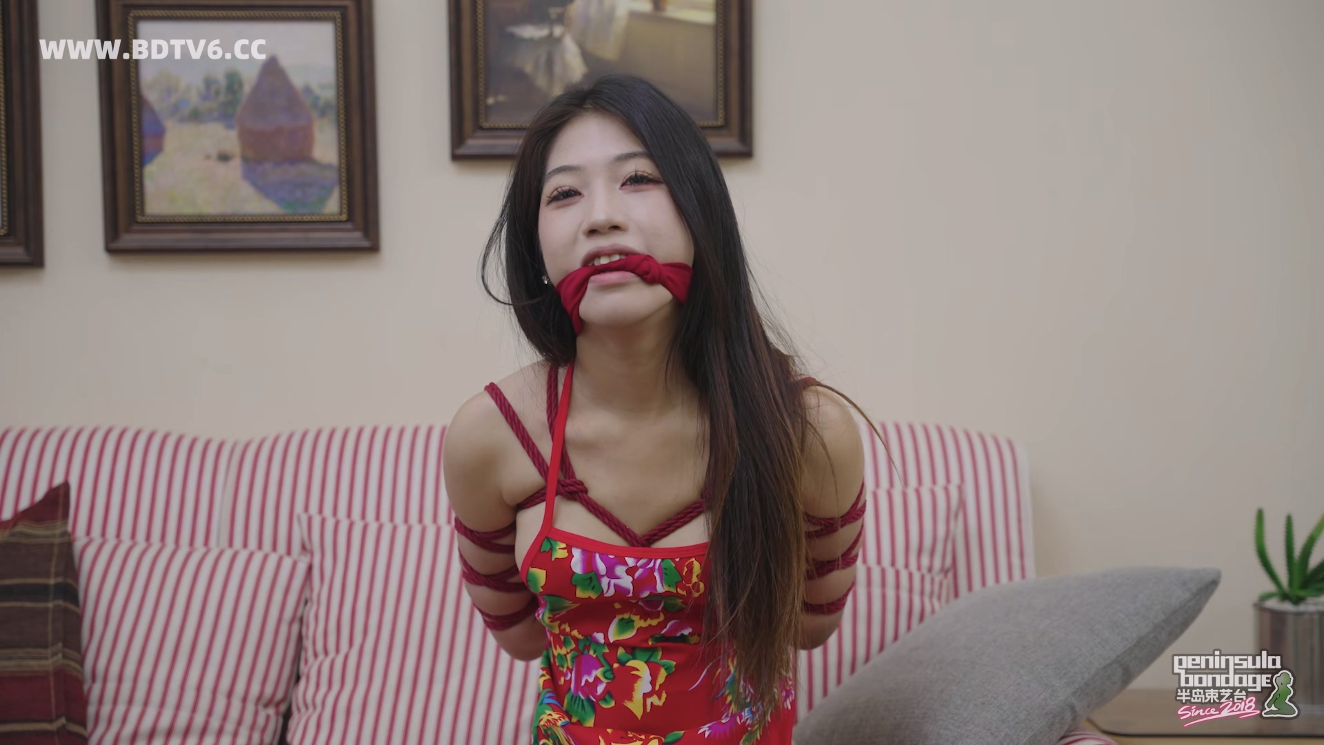 YT3047 ★上帝的新旨.mp4_20251222_051947.988.jpg