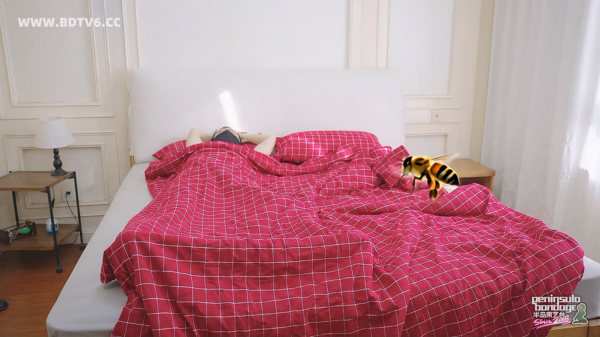 YT3049 家里进了蜜蜂.mp4_20251223_032113.324.jpg