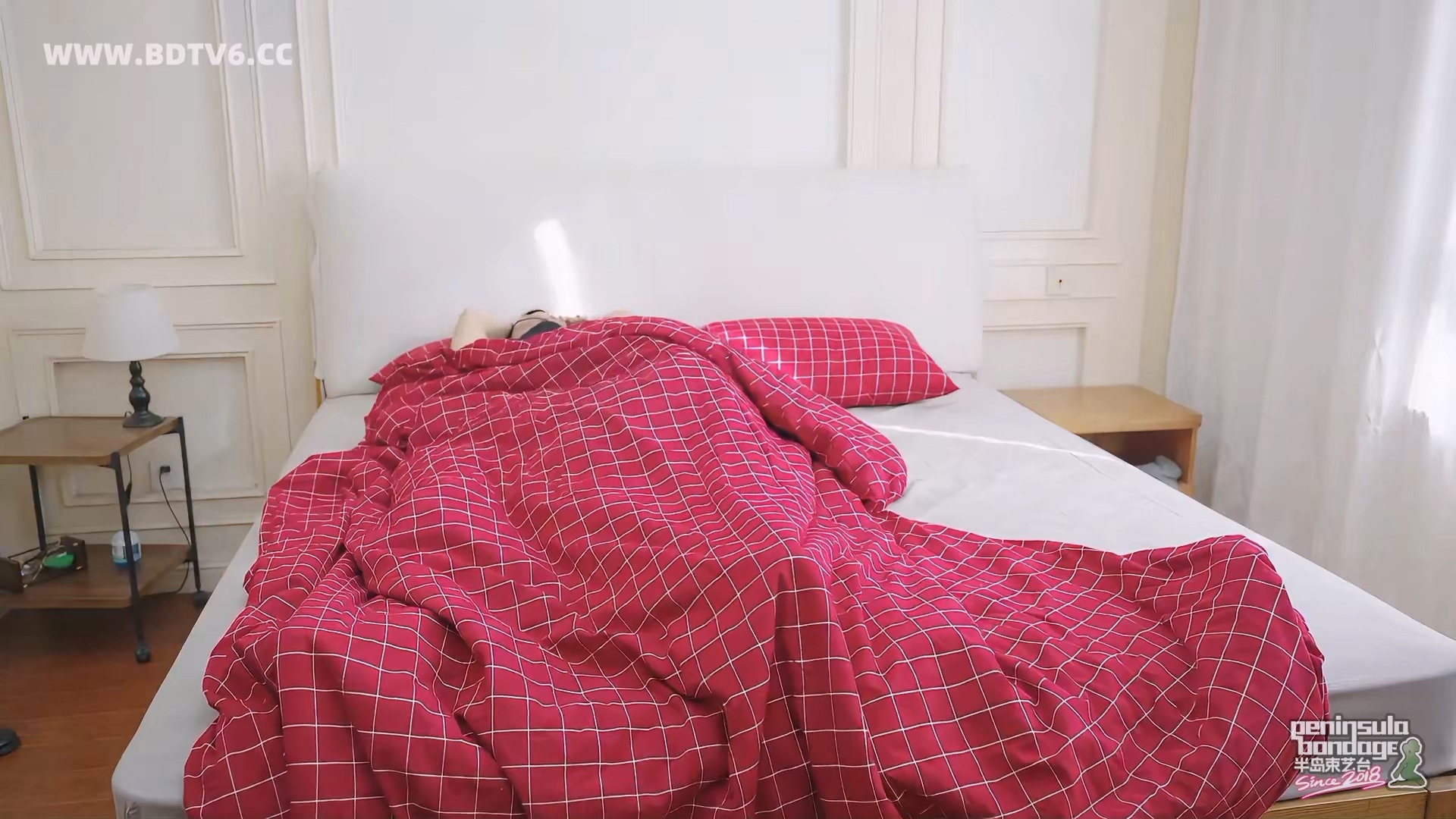 YT3049 家里进了蜜蜂.mp4_20251223_032122.984.jpg