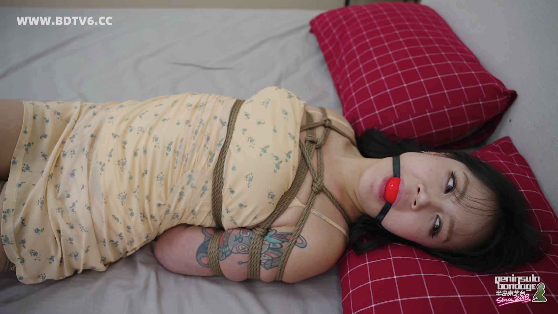 YT3049 家里进了蜜蜂.mp4_20251223_032142.753.jpg