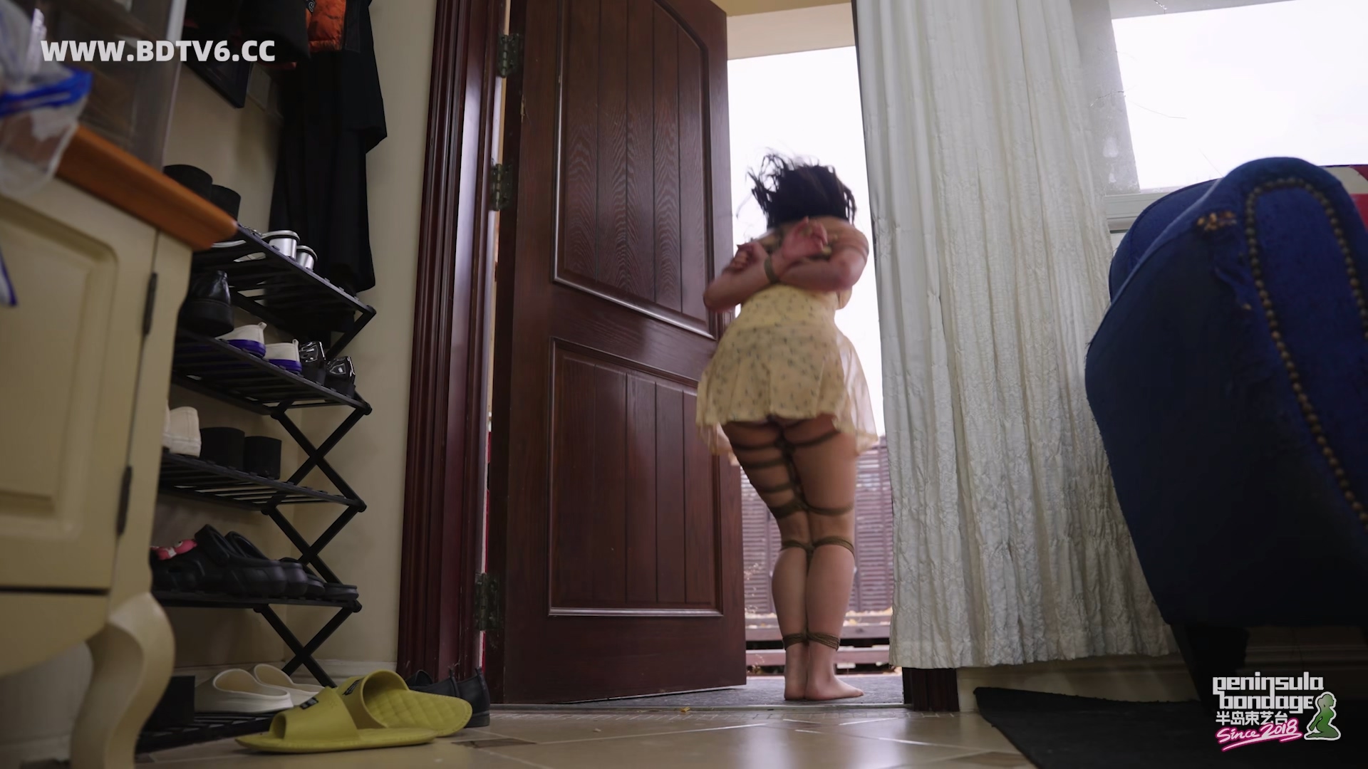 YT3049 家里进了蜜蜂.mp4_20251223_032310.144.jpg