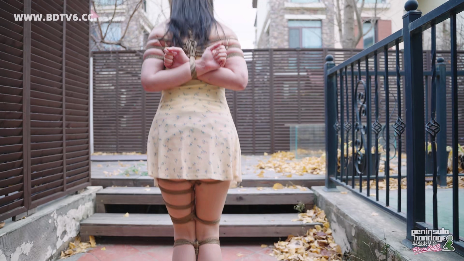 YT3049 家里进了蜜蜂.mp4_20251223_032323.344.jpg