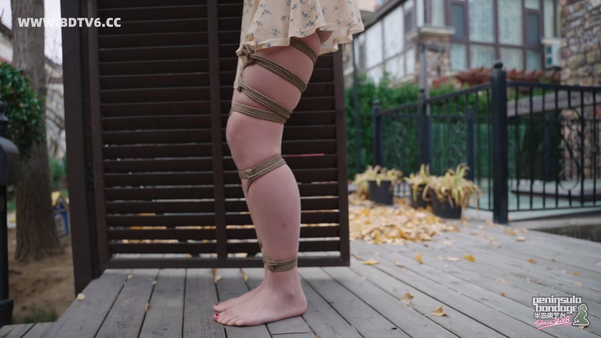 YT3049 家里进了蜜蜂.mp4_20251223_032347.463.jpg