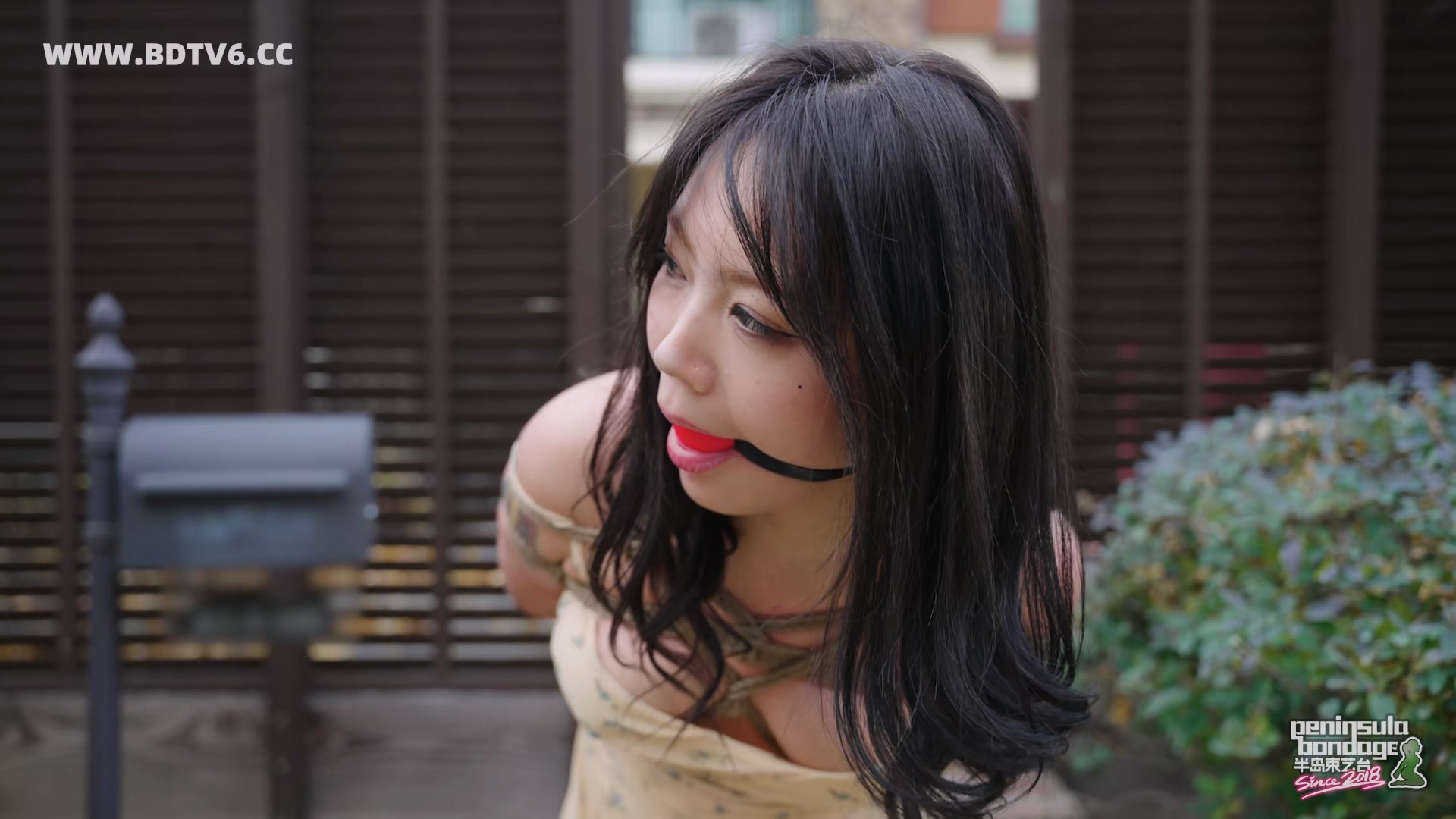 YT3049 家里进了蜜蜂.mp4_20251223_032429.944.jpg