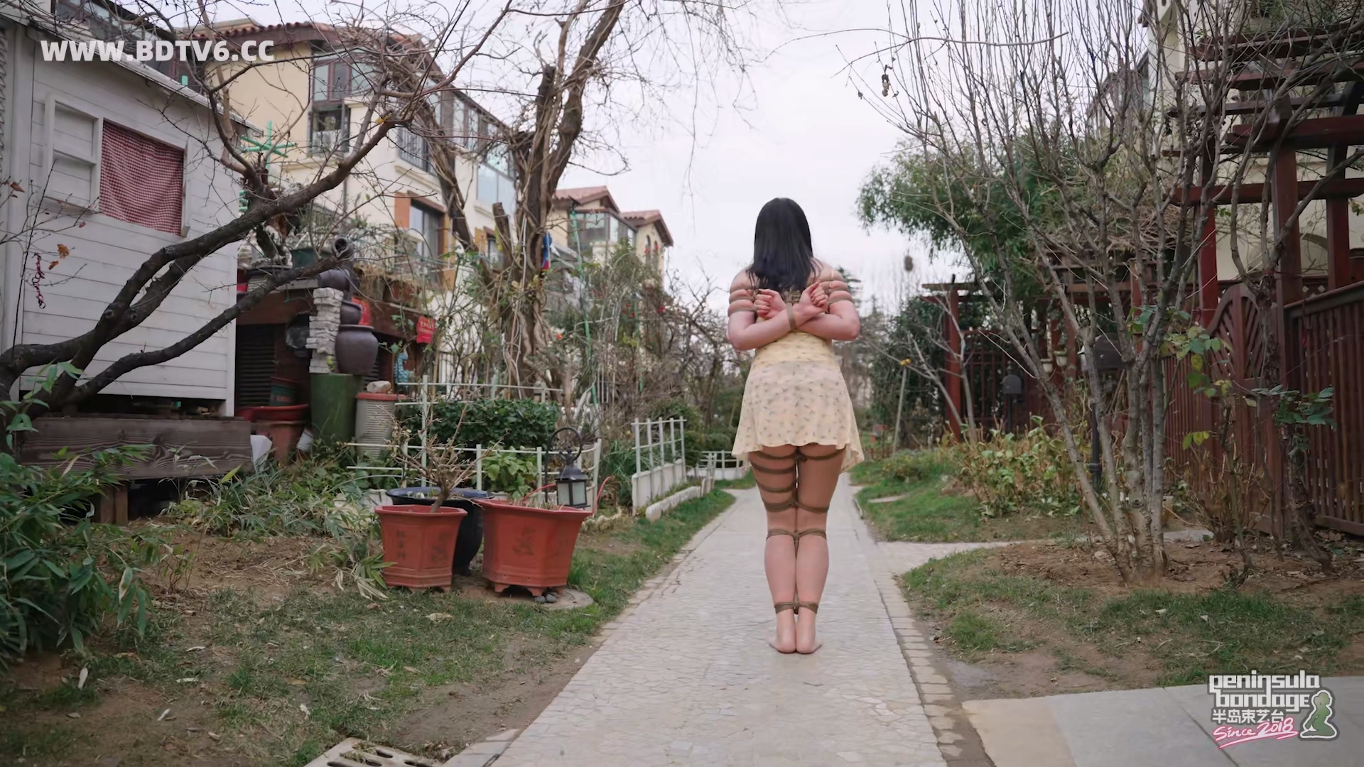 YT3049 家里进了蜜蜂.mp4_20251223_032435.044.jpg