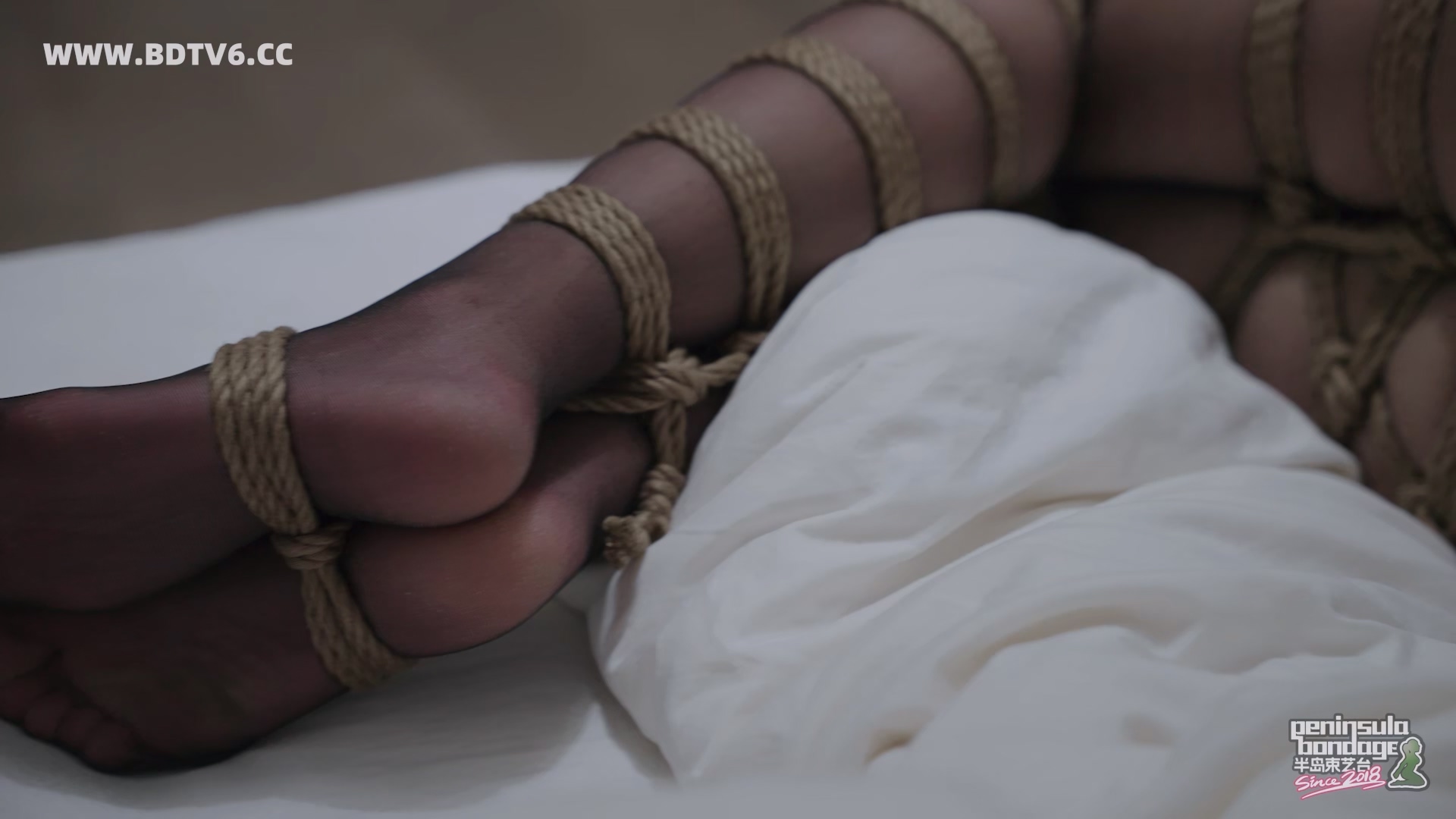 YT3053 缚影仪.mp4_20251228_215202.147.jpg