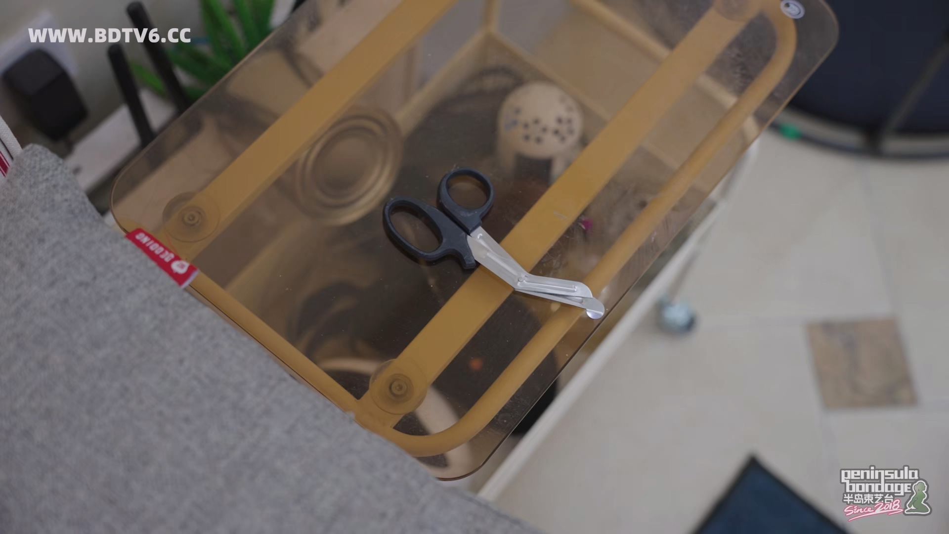 YT3070 No自缚,No Die.mp4_20260118_051359.513.jpg